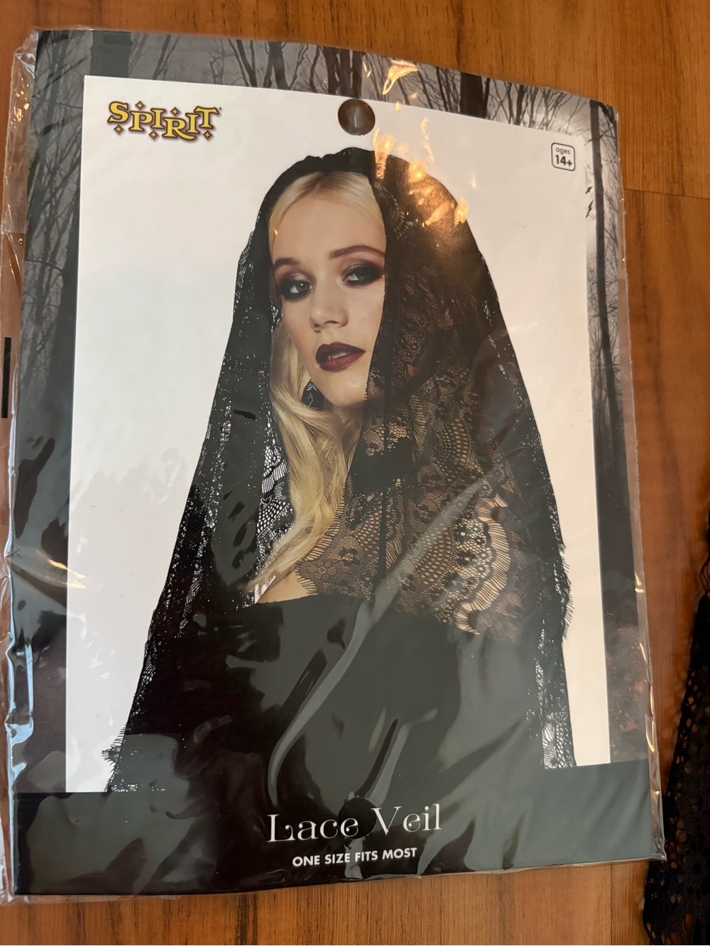 Spirit Halloween Lace Veil - Picture 1 of 5
